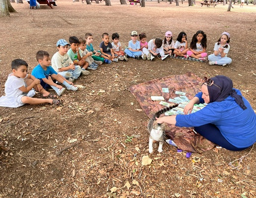 Ormanların Doğaya ve İnsan Yaşamına Katkıları