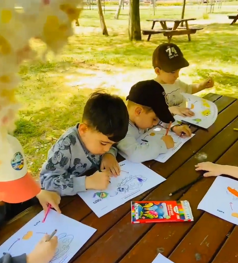 Orman Okulu Etkinliği Canlıların Yaşam Döngüsü