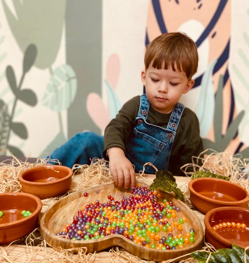 Montessori Yaklaşımı