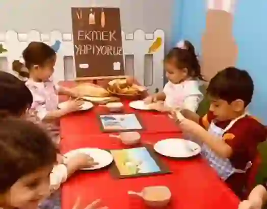 Rehber Öğretmen Modeli, Mesleki Gelişim ve İş Birliği, 